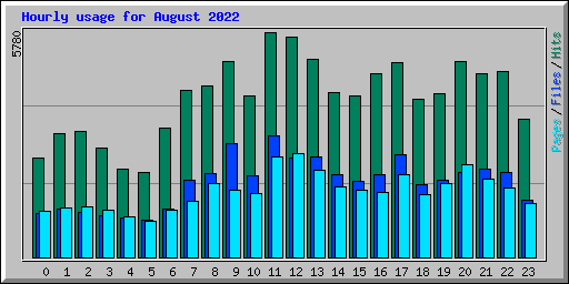 Hourly usage for August 2022