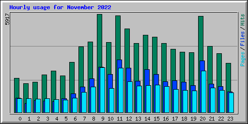 Hourly usage for November 2022