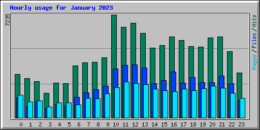 Hourly usage for January 2023